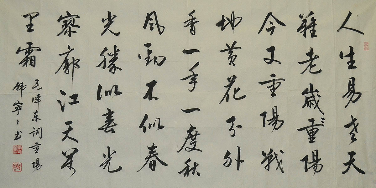 韩宁宁书法1699